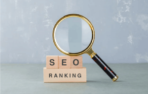 How to Make the Most of SEO Rank Tracking Software
?