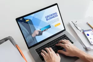 Why SEO is Performed for Websites?