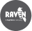 Raven Tools Alternative